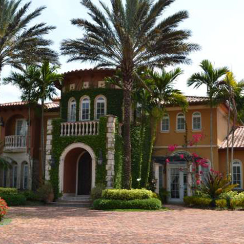 impact windows on south florida home with palm trees